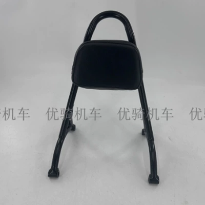Harley Xl883 1200 X48: Electric car rear backrest