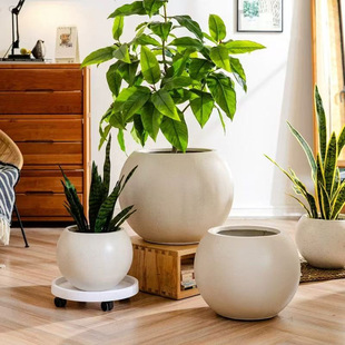 �A�����V�໨����Ƥ���m���û������ÿ͏d�̨����Gֲˮ����