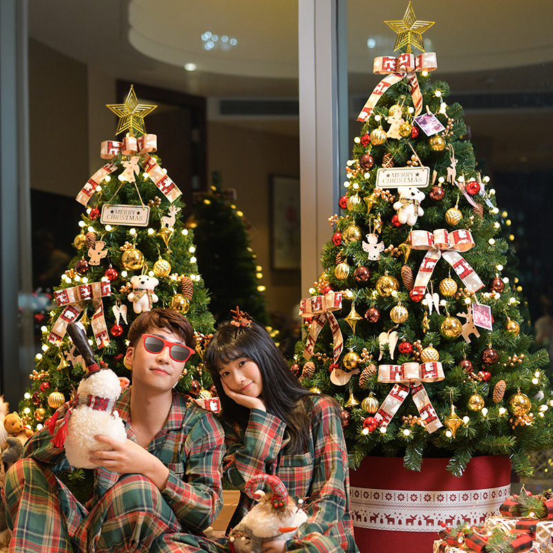 Amazon 2025 nuevo árbol de Navidad doméstico regalos de Navidad decoración encriptada paquete de simulación al por mayor