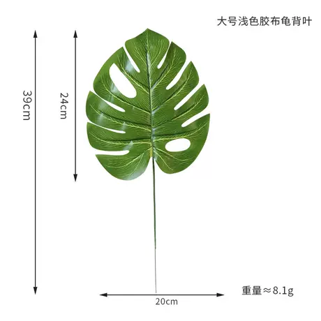 Light color tape turtle leaf★