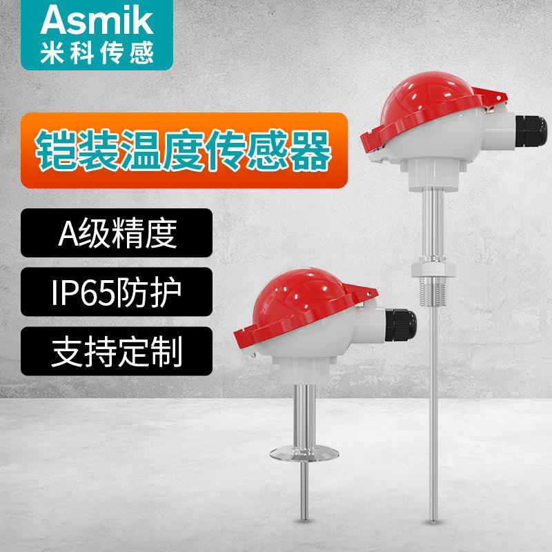 Temperature transmitter WZP armored thermal resistance Pt100 high precision K type thermocouple armored temperature sensor