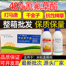 ���_��ǧ��40%�������ˮ�����݄� ���԰޲�ǧ�����R�ƺ̱����s��