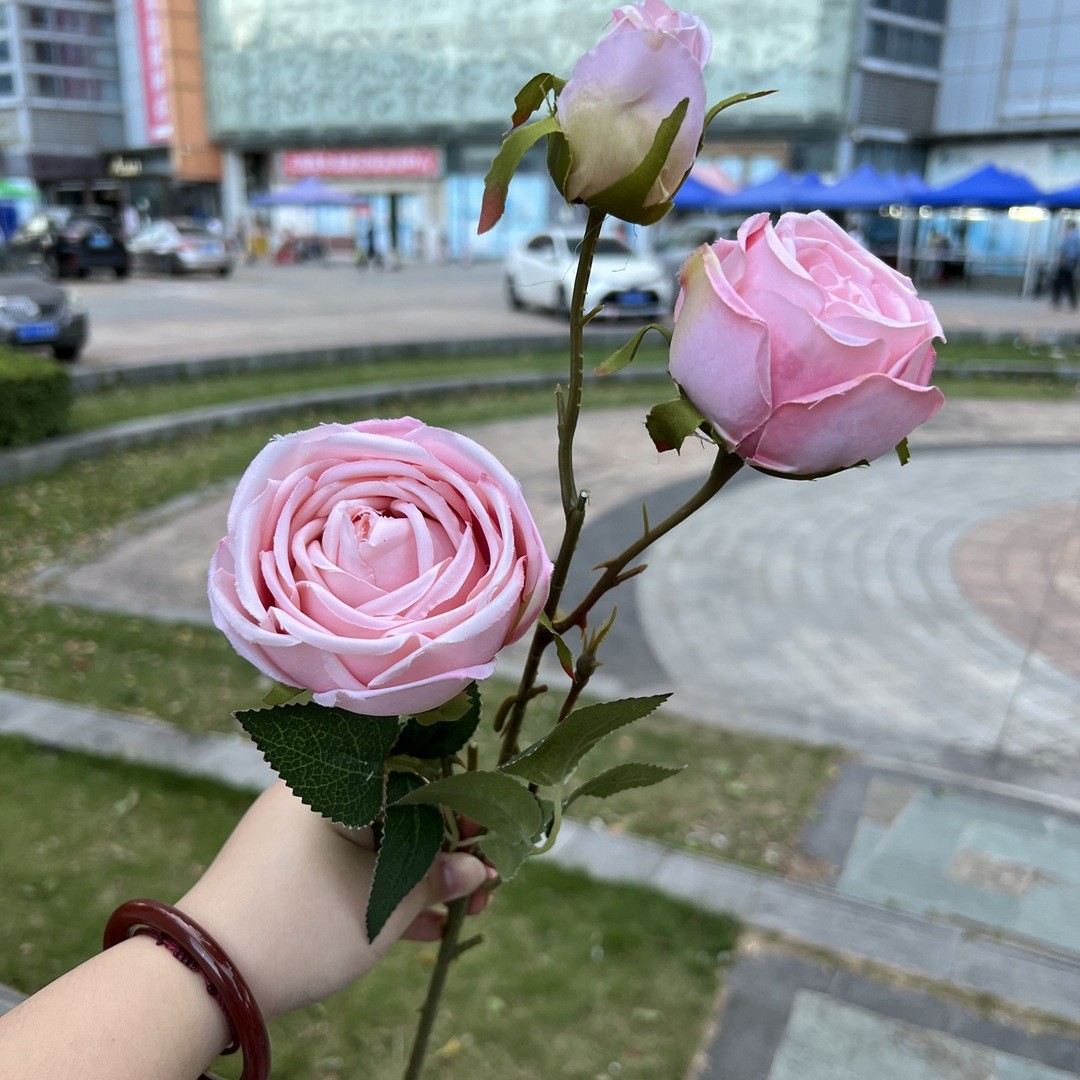 Simulación del Día de San Valentín rosa fabricante 3 sola rama multi-cabeza rosa decoración de la boda flor falsa al por mayor