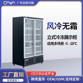 商用冰柜 双门三门冷冻展示柜商超便利店餐饮冷藏保鲜柜跨境批发