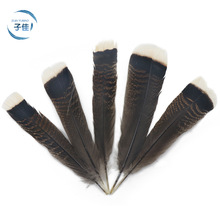 花火鸡尾毛15-20cm花火鸡白片DIY艺羽毛笔自然羽毛咖啡色创意