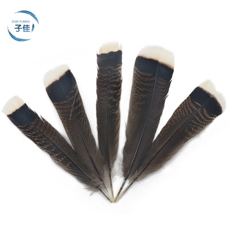 Firework Turkey Tail Feathers 15-20cm Firework Turkey White Flakes DIY Art Feather Pen Natural Feathers Coffee Color Creative