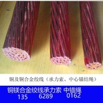 优惠供应电气化铁路用铜绞线 铜镁合金绞线  中心锚结绳  承力索