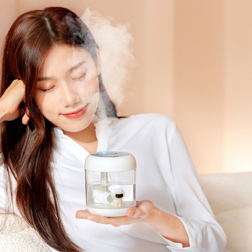 定制水上樂園加濕器萌寵創(chuàng)意靜音usb充電迷你辦公桌面霧化器禮品