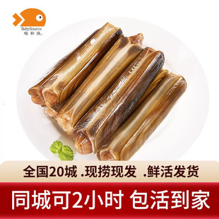 ���͝O�r���|�����p�^ ���rؐ����| ����ʳ���r��r �|����