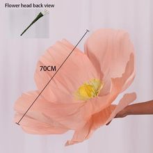 ����������ʽ��ˇ�����滨���ұ�������ꐴ򿨲��Ï͹Ż�Y���w��