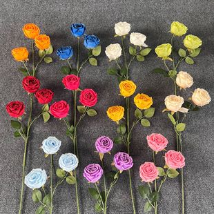 ���^����õ�����õ�廨�ٻ��߼��б����c�쾰�[����c�����b�