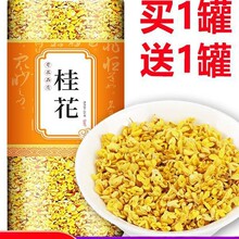 桂花干花官方旗舰店食用红茶新鲜乌龙茶叶金桂2024特级金桂花干茶