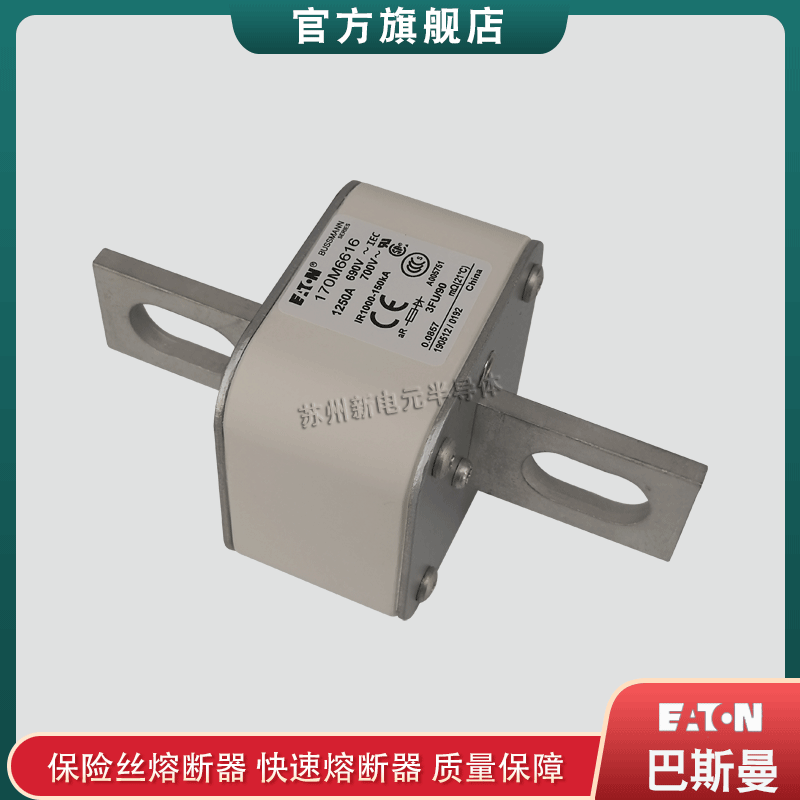 170M6615 6616 6617 6618 6619 6620 6621美国bussmann快速熔断器