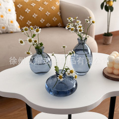 French-inspired light luxury gold-trimmed glass mini vase, Instagram-style transparent hydroponic flower vase—perfect desktop decor and display piece