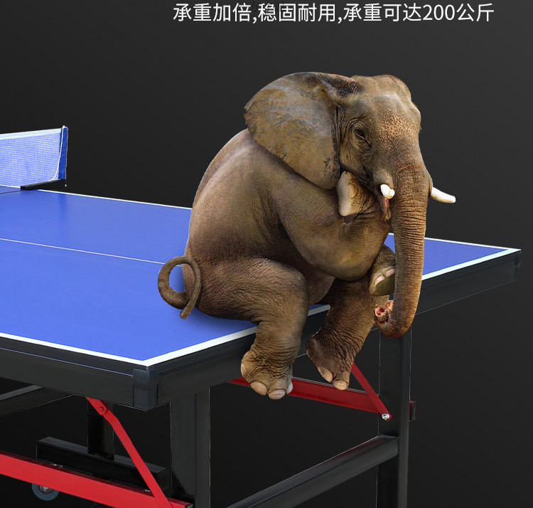 0dd4fdc9-0183-4ad0-aad3-9213667ff1b6.jpe