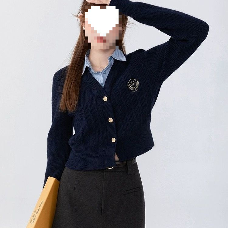 Two-Piece Knitted Sweater for Women, New Spring Style, British Academy Style Top, Blue, Direct from the Source Factory