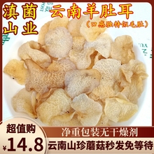 云南羊肚耳 珍珠菌100克装食用菌山珍美食口感像毛肚却是菌味香菇