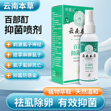 明馨元云南本草百部酊喷剂60ml盒虱子喷雾儿童头发虱子虱立净批发