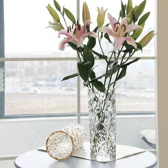 Thickened Vase Glass Transparent Water-Regrowing Rich Bamboo Rose Lily Dried Flower Flower Ornaments Large Living Room Nordic Style Bottle