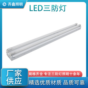 T8 Bracket Manufacturer Wholesale Export Double Tube T8Led Garage Fluorescent Lamp T8Led Bracket Large Quantity and Excellent Price