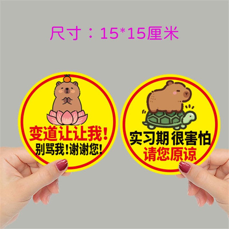 인턴쉽 초보자 자동차 스티커 CAPYBARA KAPIBALA 여성 운전자는 내 자기 반사를 만들어 주셔서 감사합니다