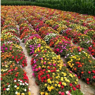 �ذ�̫ꖻ��N���ļ����N�_��ͥԺ�҃����̨�׻����Ի��N���Ӵ�ȫ