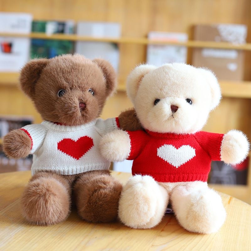 Suéter y oso de peluche