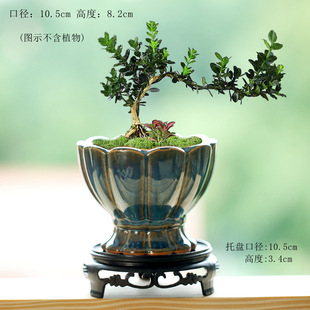 ���Sֱ�N�؃r�͹źɻ�С�Ϙ��մɼ����̨�������ջ��PС������}