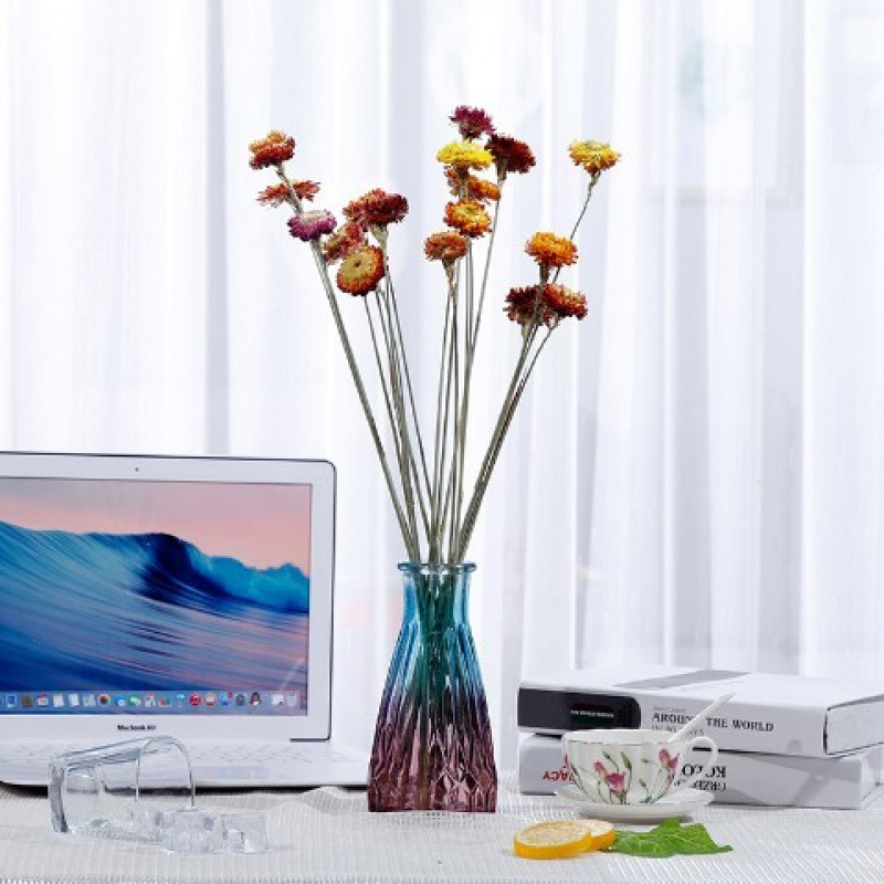 작은 데이지 - 꽃병 없음