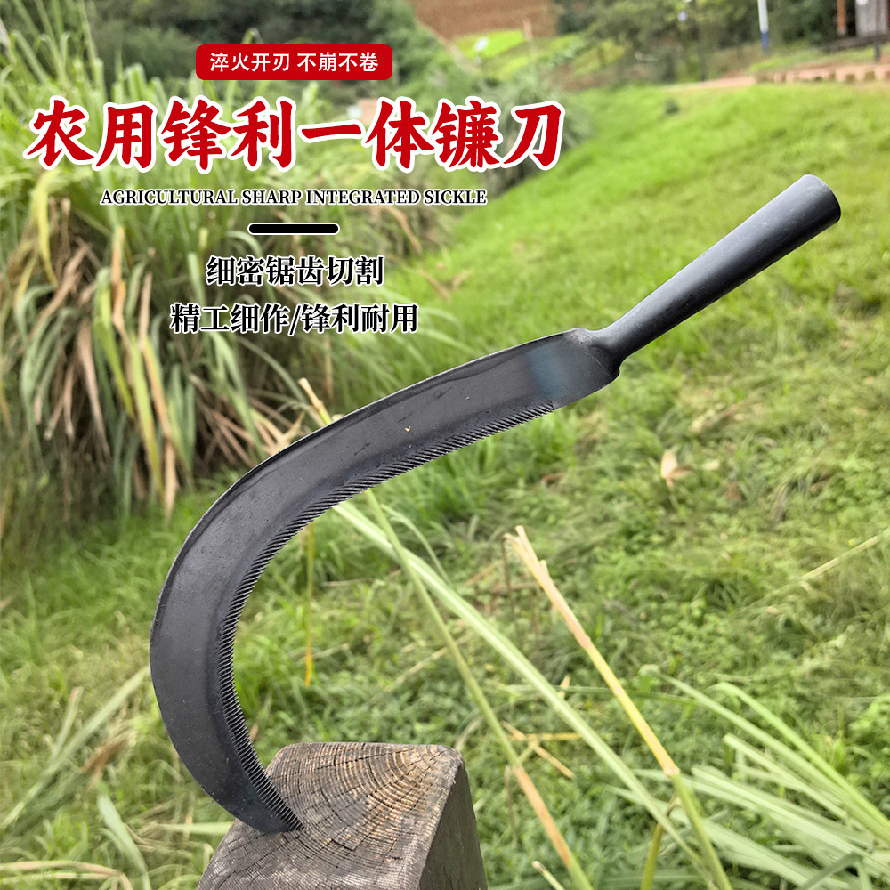 Agricultural Sickle, Hand-Forged Serrated Sickle for Cutting Grass and Wheat, Traditional Agricultural Tool with Fine Teeth for Harvesting Grain