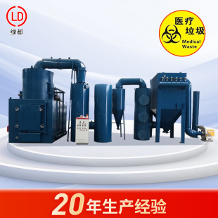 Full Set of Dust Removal Garbage Incinerator Medical Waste Pyrolysis Gasification Disposal Complete Equipment Industrial Garbage Incinerator
