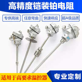高精度铂电阻铠装PT100热电阻精准测温探头工业一体化温度变送器