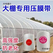 �����K�Ӊ�ģ�K��Ĥ�⽉���������ҷNֲ���i������Ļ��������̫��