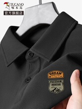 ��ľ�B����polo�����ļ���ʽ���ƌ�����ʿ���It�������r���I����Y