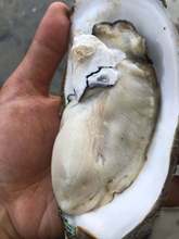 տ������r��1����򺺣�rˮ�a��Ϡ�����rĵϠ�����������l����