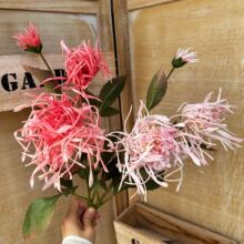 �ָ�зצ�ջ��y��ջ� �Ҿӻ�c�b�ᘾջ�c�zӰ�쾰�ٻ��[�O