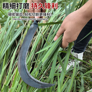 �r��砵���Xһ�w呴��X� ��ݸ����Ӻ������ ��ʽ���X���砵�