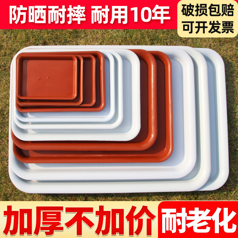 Rectangular flowerpot tray water tray plastic bonsai base large flower box fleshy base gardening factory wholesale