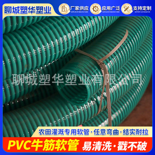 �S�ҬF؛��ĥPVCţ��������Ĵ�������������������S�����۹�