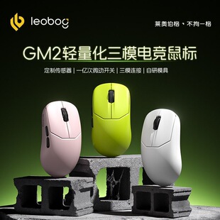 LE0BOG GM2�o�������ģ�о��{���k��늸��Α�FPS����lol����pro