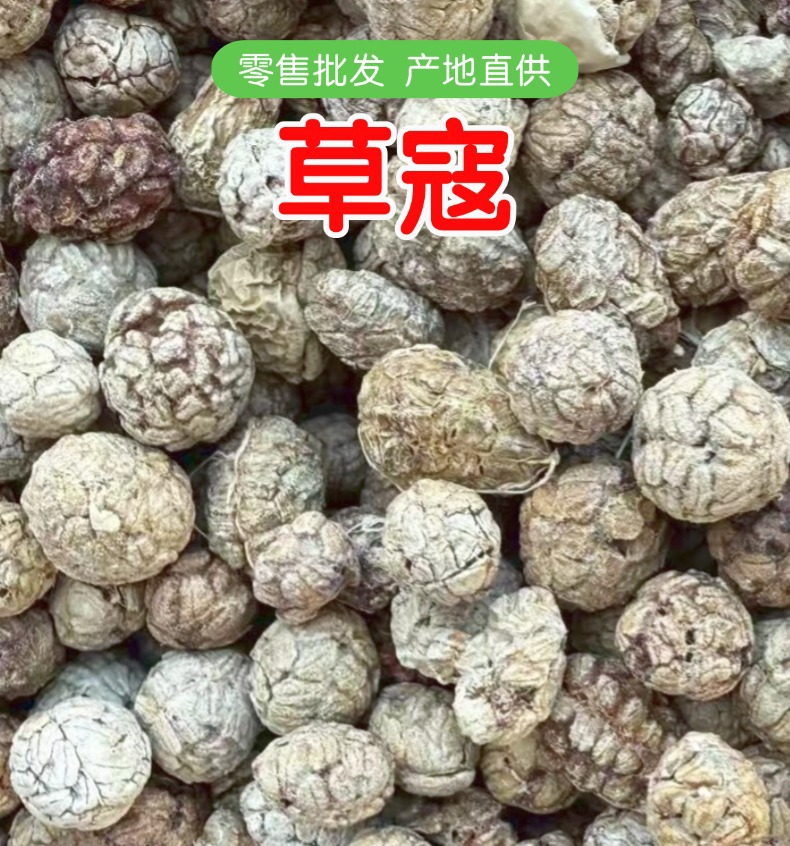 Dried Cao Kou Alpinia Katsumadai Fruit Chinese Spice for Braising and Herbal Cooking 500g overview
