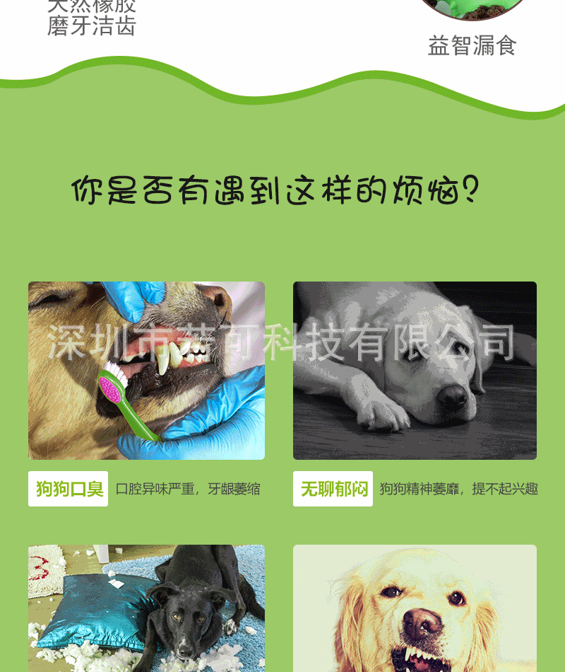 树懒详情页_07