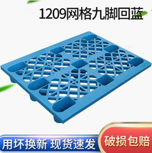 1209�W����_�бP�}���܇�������бP؛�����D�|�}��������бP