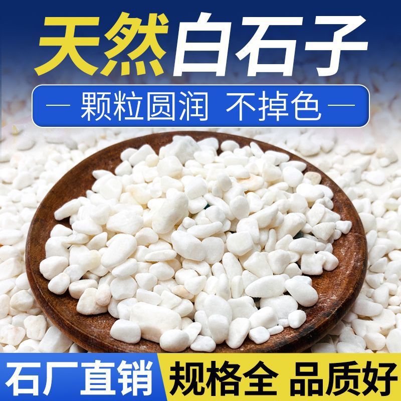 小白石子多肉铺面石头养花鹅卵石雨花石鱼缸造景盆栽庭院水培铺底