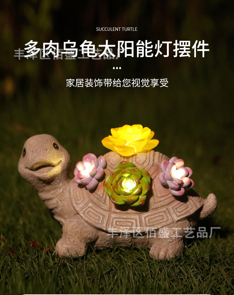 多肉乌龟_01.jpg