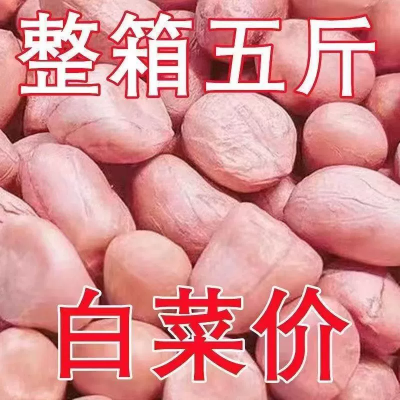 2024 новый сырой арахис, коммерческий свежий арахис, белый арахис, оптовая цена, 5kg упаковок