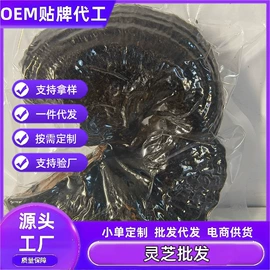 灵芝;保健食品;代用/养生茶