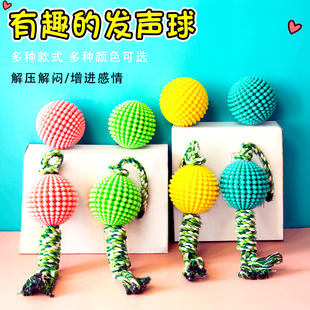 �����ĥ����l��������ҧĥ����TPR���zӖ�����R�d�羳��ҧ�␞