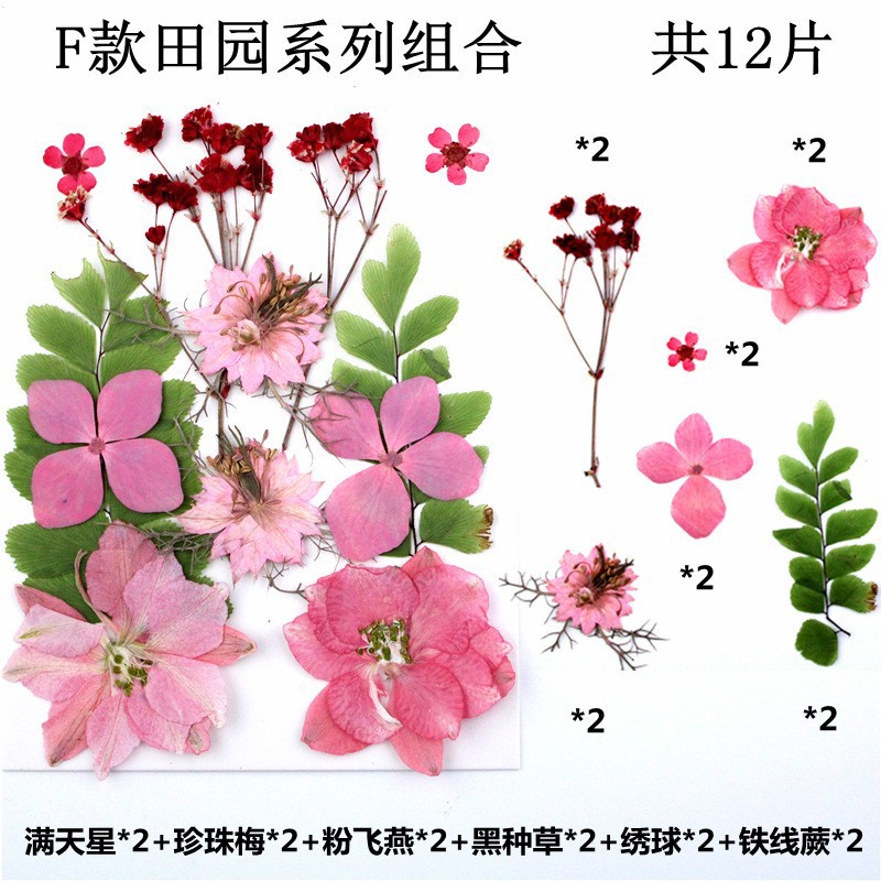 12 작은 꽃 침대 시리즈 1