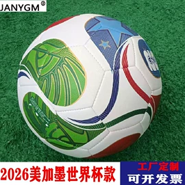 足球;篮球;排球